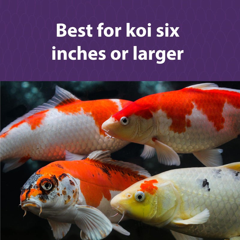 Mazuri Koi Platinum Nuggets Floating Koi Food for Fish, 3.5 lbs. - Image 3